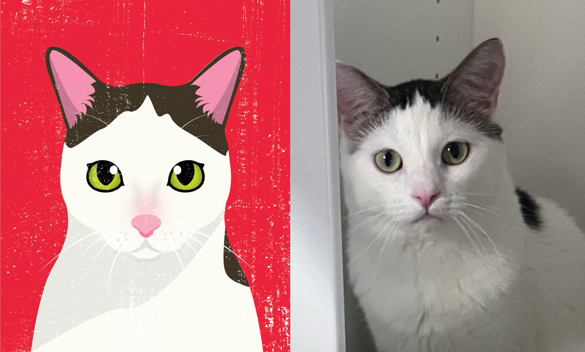An image showing the graphic portrait next to the original photo of the cat.