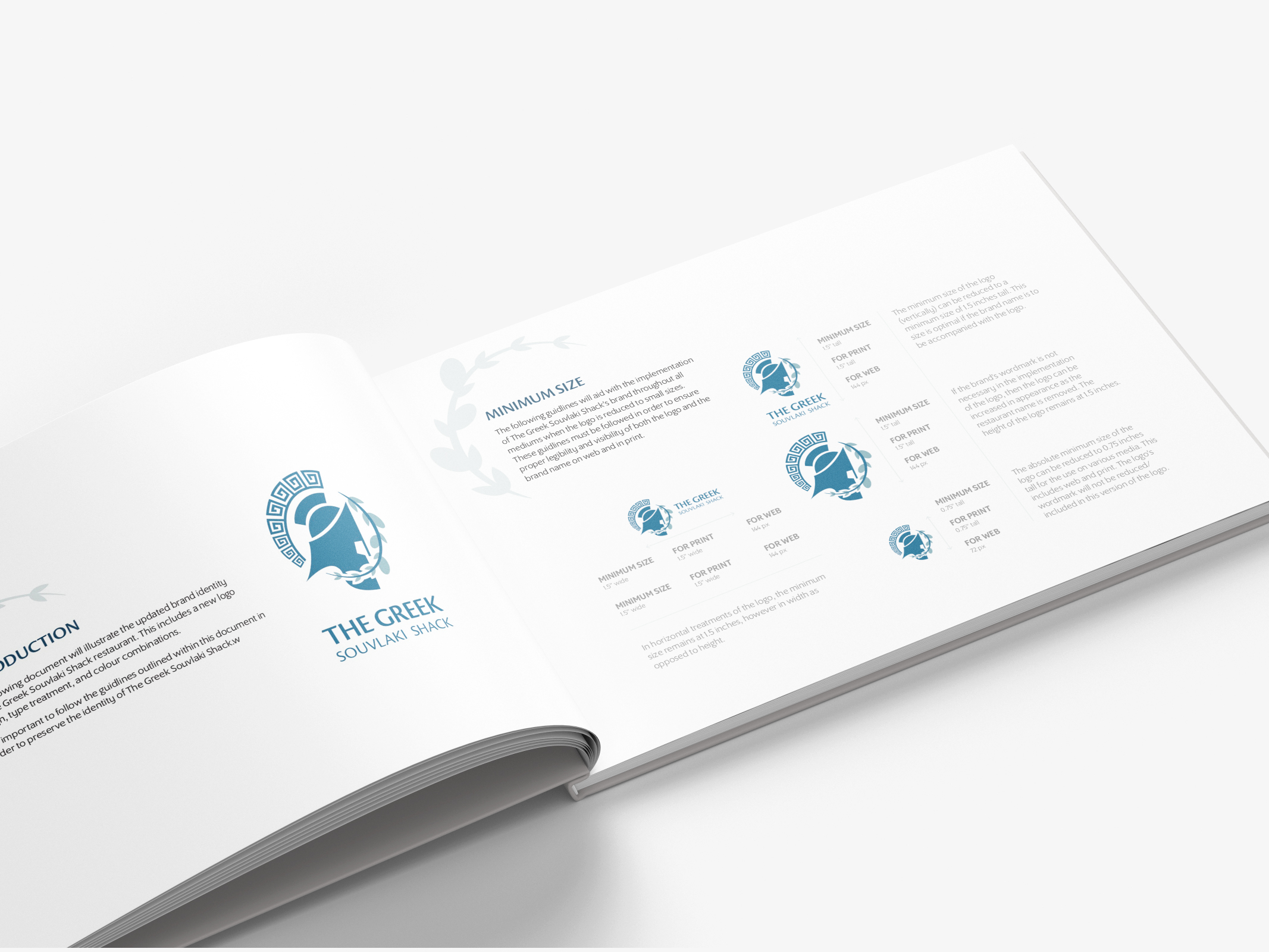 A mockup image of the brand identity manual package.